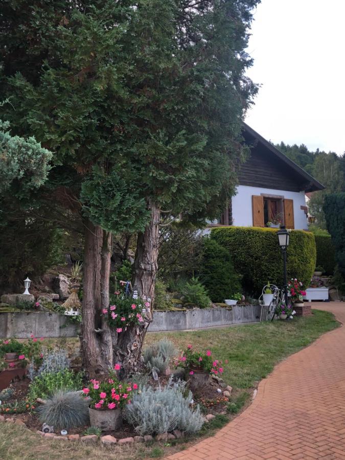Apartmán L'Hippocampe Wangenbourg-Engenthal Exteriér fotografie