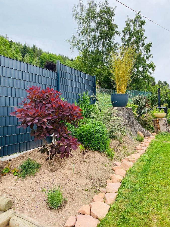 Apartmán L'Hippocampe Wangenbourg-Engenthal Exteriér fotografie