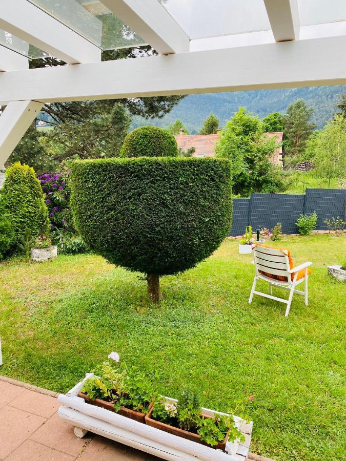 Apartmán L'Hippocampe Wangenbourg-Engenthal Exteriér fotografie