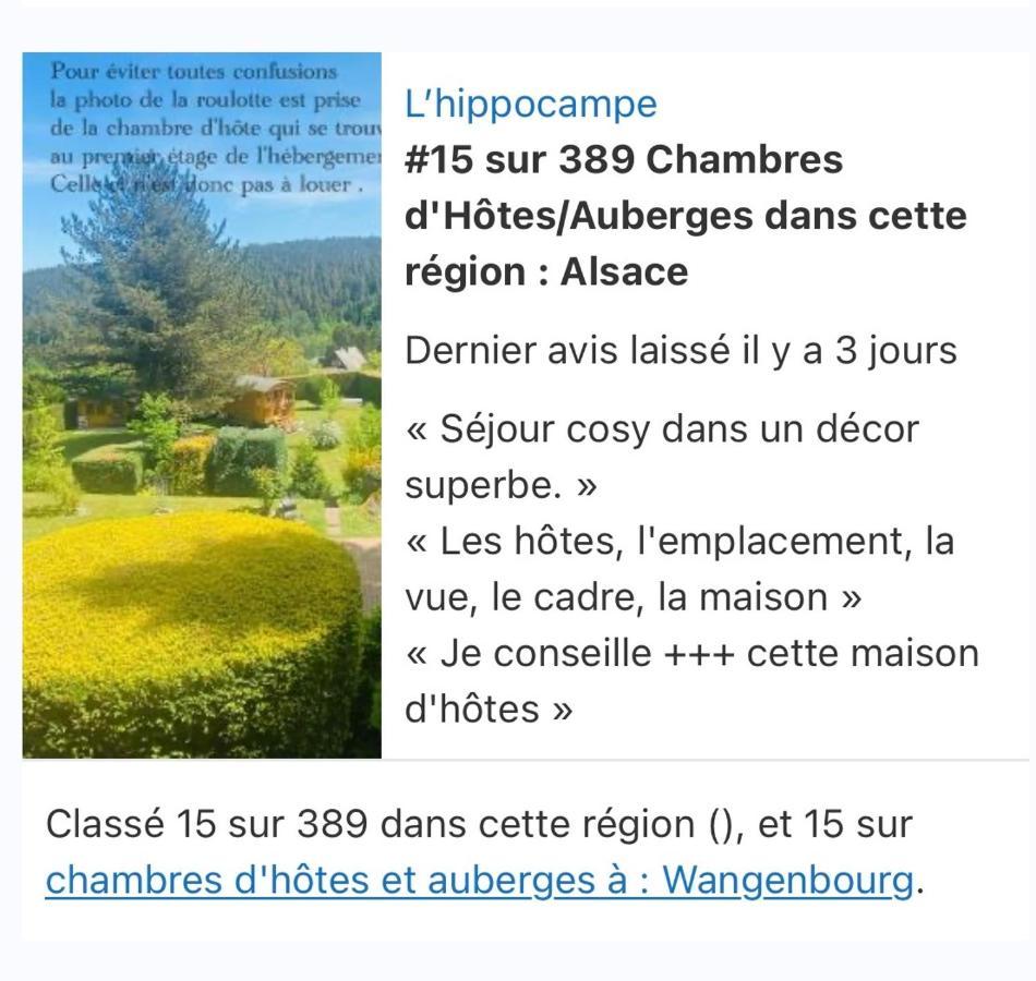 Apartmán L'Hippocampe Wangenbourg-Engenthal Exteriér fotografie